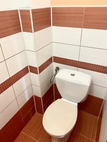 Pronájem bytu 1+1, Vsetín, Svornosti, 46 m2