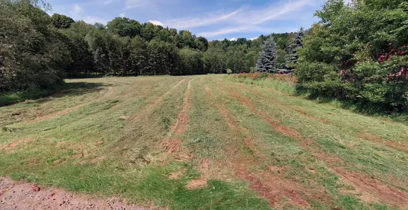 Prodej pozemku pro bydlení, Chotěvice, 4127 m2