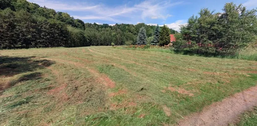 Prodej pozemku pro bydlení, Chotěvice, 4127 m2