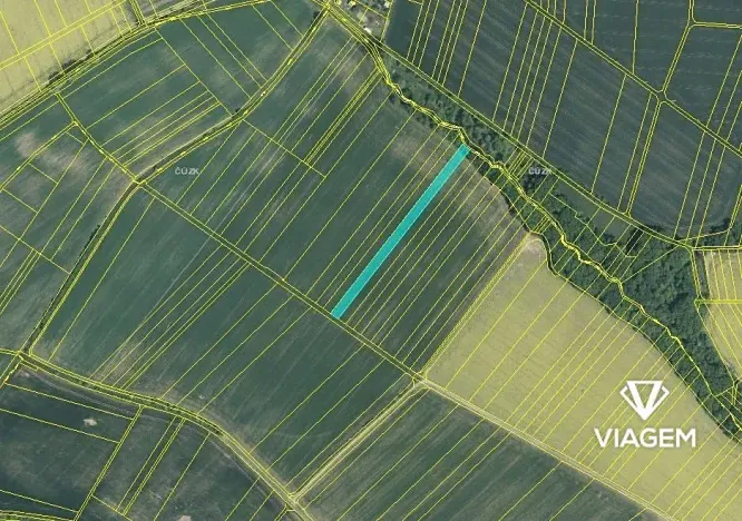 Prodej podílu pole, Vrbka, 773 m2