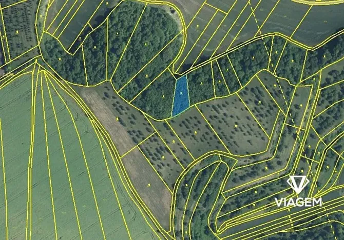 Prodej podílu pole, Kobylí, 791 m2