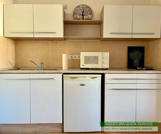 Pronájem bytu 1+kk, Praha - Vršovice, náměstí Svatopluka Čecha, 33 m2