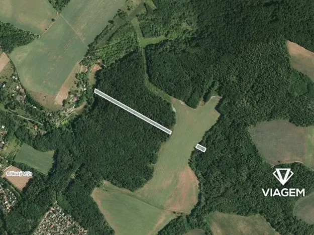 Prodej lesa, Moravské Bránice, 2986 m2