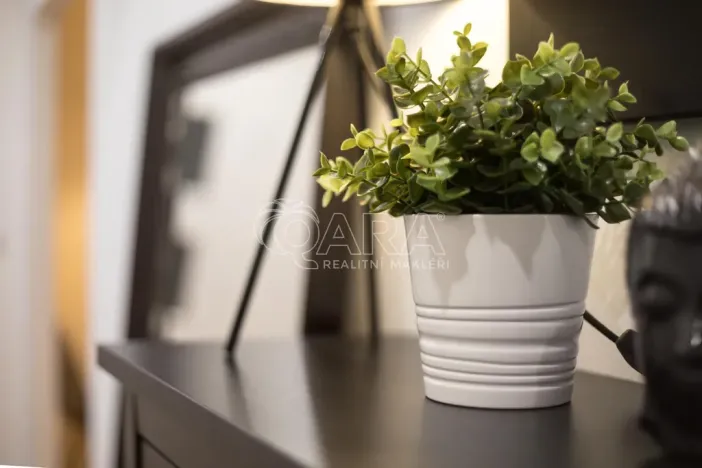 Pronájem bytu 2+1, Ostrava - Moravská Ostrava, Josefa Brabce, 64 m2