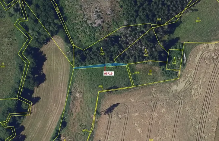 Dražba lesa, Žižkovo Pole, 121 m2