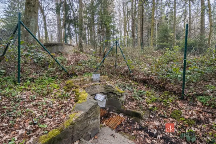 Prodej chaty, Tehov, Ke Srubům, 43 m2