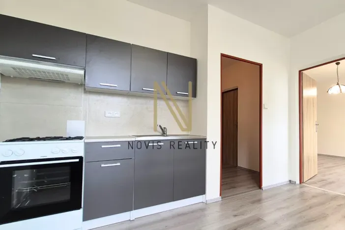 Pronájem bytu 1+1, Domažlice, Kozinova, 38 m2