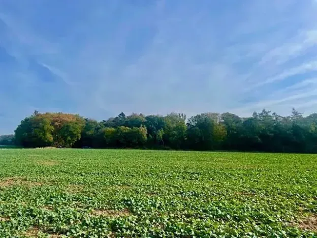 Prodej pole, Praha - Liboc, Na Padesátníku I, 24066 m2