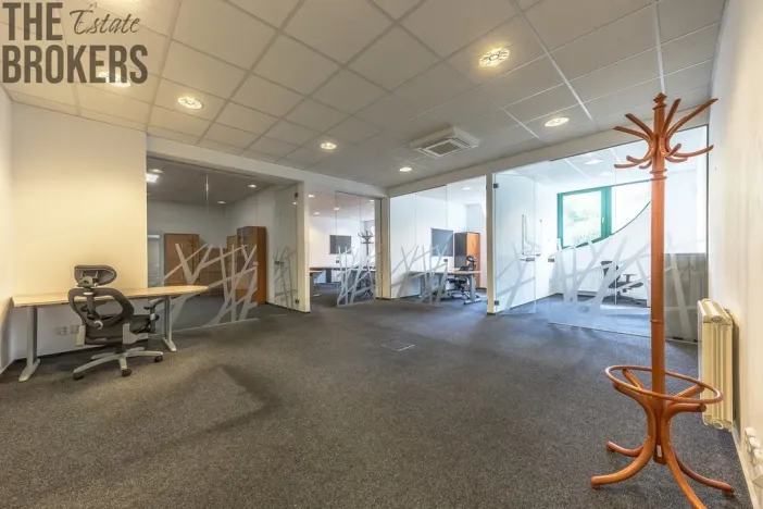 Pronájem rodinného domu, Mladá Boleslav - Čejetice, Koněvova, 296 m2