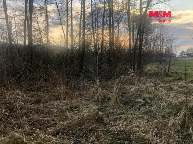 Prodej louky, Horní Suchá, 1524 m2