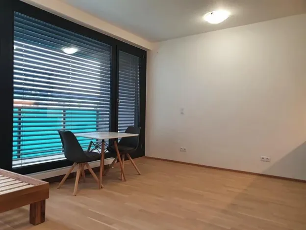 Pronájem bytu 1+kk, Praha, U průhonu, 38 m2