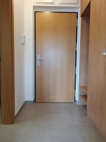 Pronájem bytu 1+kk, Praha, U průhonu, 38 m2