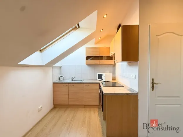 Pronájem bytu 1+kk, Plzeň - Jižní Předměstí, Husova, 42 m2