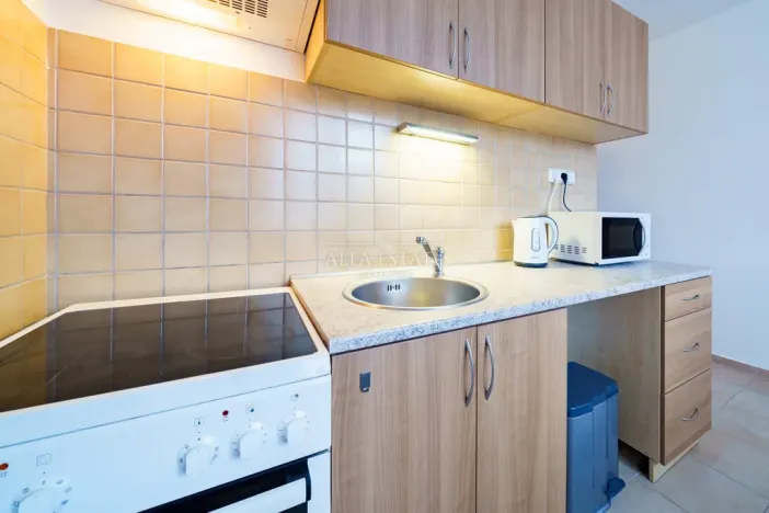 Prodej bytu 1+1, Loket, Mírová, 40 m2