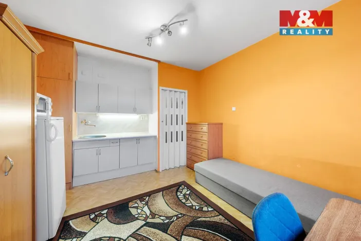 Prodej bytu 1+kk, Děčín - Děčín III-Staré Město, Litoměřická, 19 m2