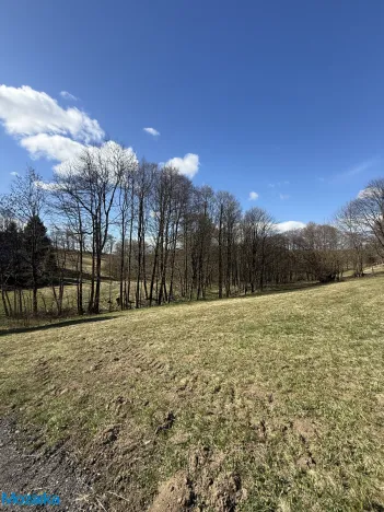 Prodej lesa, Výprachtice, 1892 m2