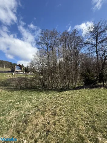 Prodej lesa, Výprachtice, 1892 m2