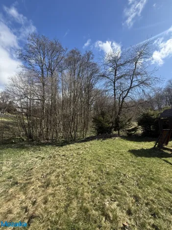 Prodej lesa, Výprachtice, 1892 m2