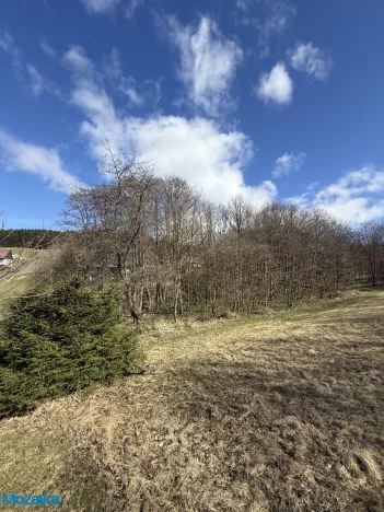 Prodej lesa, Výprachtice, 1892 m2