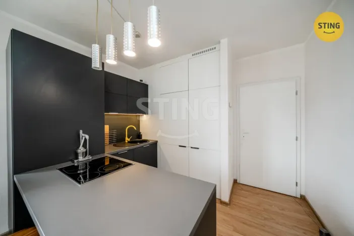 Prodej bytu 3+kk, Český Těšín, Svojsíkova, 57 m2