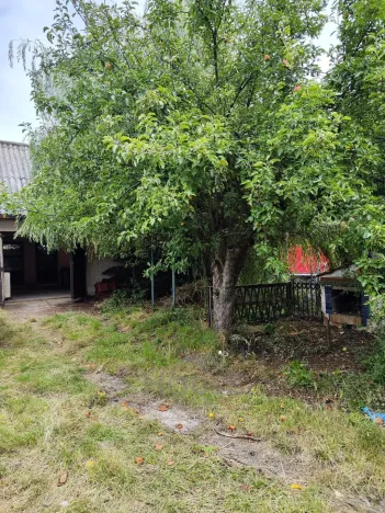 Prodej podílu 1/2 rodinného domu, Čechtice, Vinohradská, 400 m2