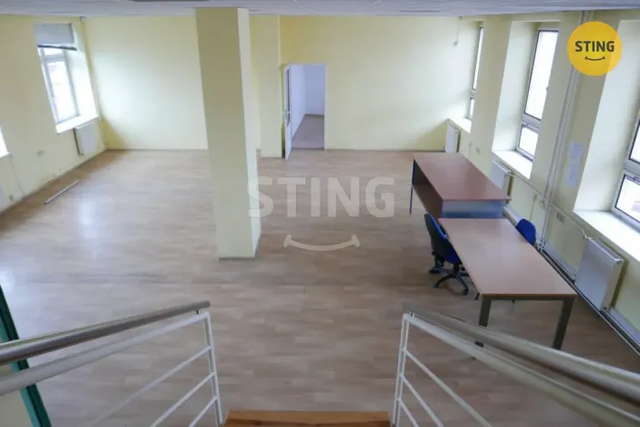 Pronájem výrobních prostor, Opava, Rybářská, 694 m2