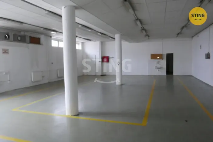 Pronájem výrobních prostor, Opava, Rybářská, 694 m2