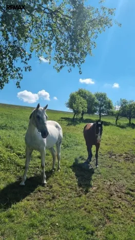 Prodej pozemku pro bydlení, Vsetín, 285345 m2