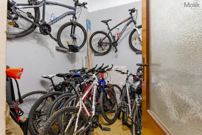 Prodej vícegeneračního domu, Duchcov, Teplická, 330 m2