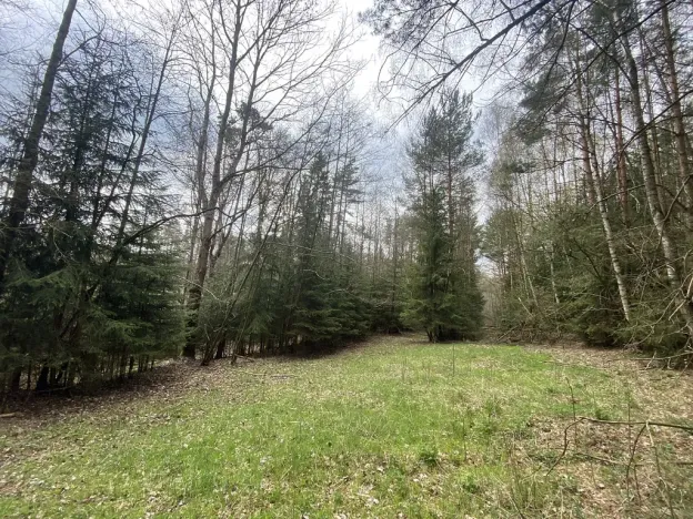 Prodej pozemku, Volfířov - Brandlín, 5958 m2