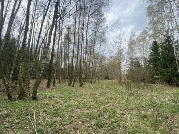 Prodej pozemku, Volfířov - Brandlín, 5958 m2