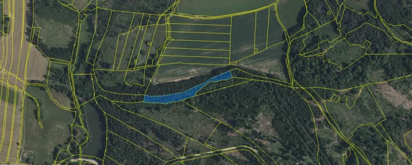 Prodej pozemku, Volfířov - Brandlín, 5958 m2