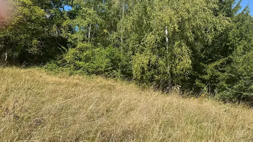 Prodej ubytování, Bílé Poličany, 1000 m2