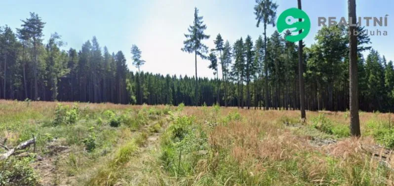 Prodej lesa, Vodice - Domamyšl, 24564 m2