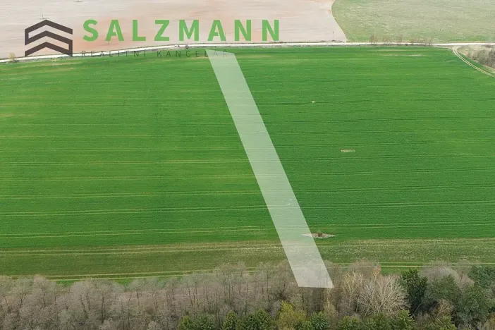 Prodej pole, Tlučná, 9274 m2