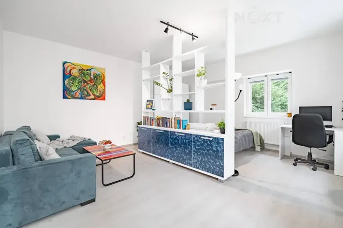 Prodej bytu 1+1, Brno, Francouzská, 47 m2