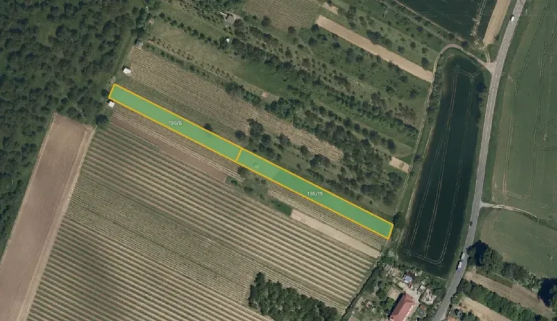 Prodej sadu/vinice, Svatobořice-Mistřín, 5062 m2