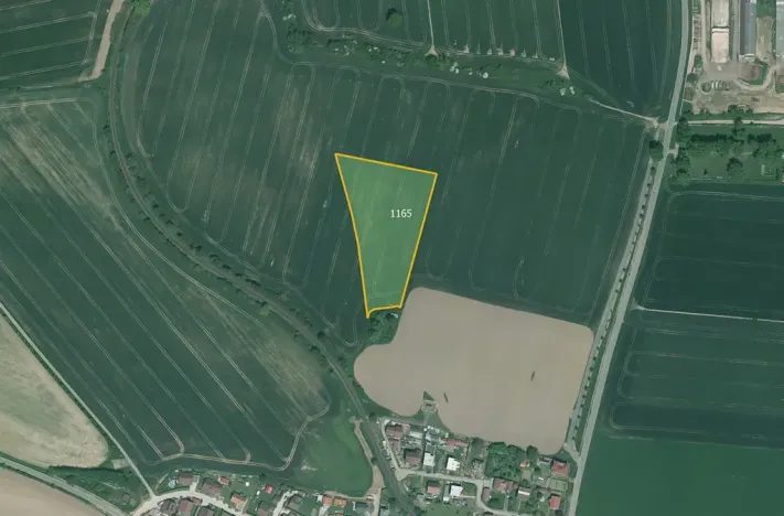 Prodej pole, Poběžovice, 64029 m2