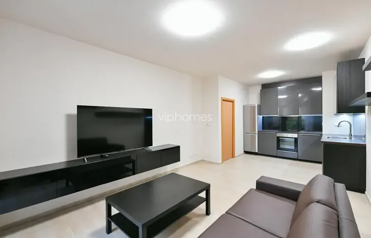 Pronájem bytu 1+kk, Praha - Bubeneč, Mlýnská, 47 m2