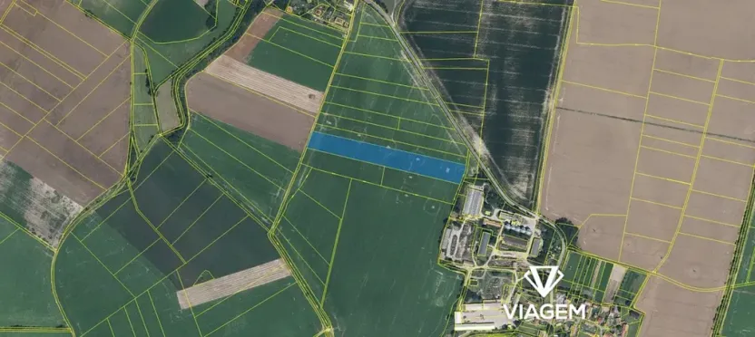 Prodej pole, Cholenice, 19500 m2