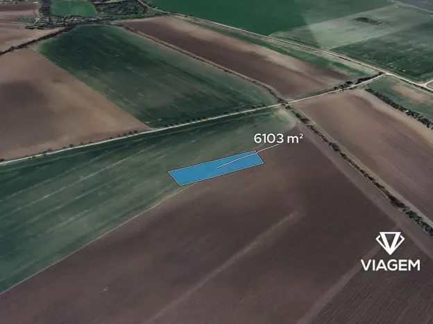 Prodej podílu pole, Třibřichy, 381 m2