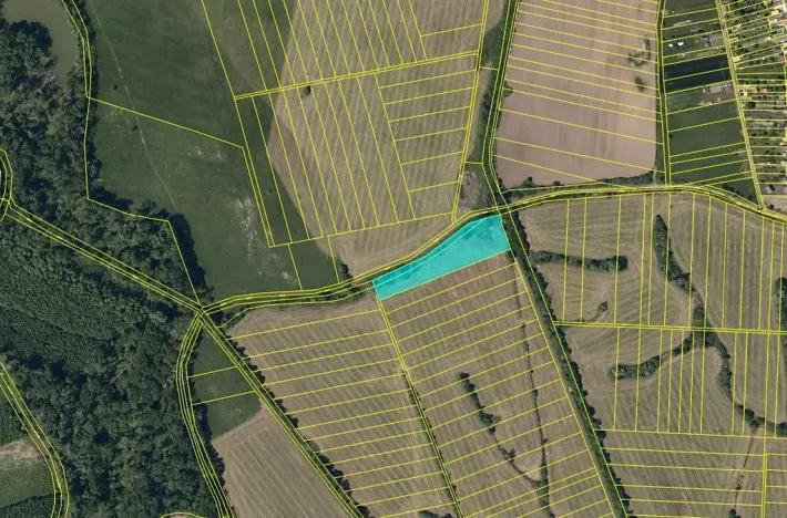 Dražba louky, Chropyně, 11841 m2