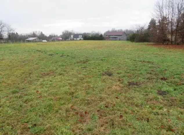 Dražba pole, Karviná, 2181 m2