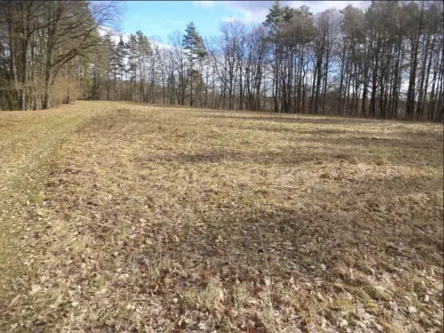 Dražba louky, Novosedly nad Nežárkou, 15643 m2