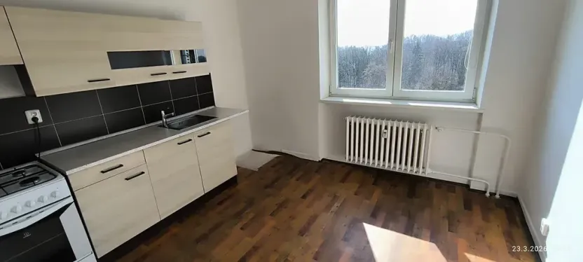 Pronájem bytu 1+1, Ostrava, Srbská, 40 m2