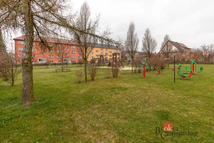 Prodej bytu 2+1, Světlá Hora - Světlá, 60 m2