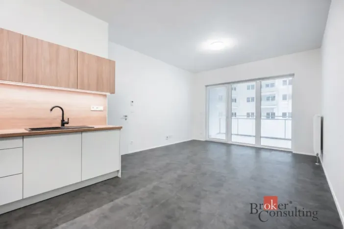 Pronájem bytu 2+kk, Olomouc, Wolkerova, 66 m2