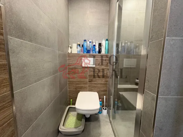 Pronájem bytu 2+kk, Praha - Krč, Štúrova, 37 m2