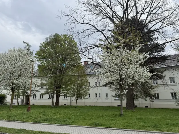 Prodej bytu 2+1, Ostrava - Hrabůvka, Jubilejní, 81 m2