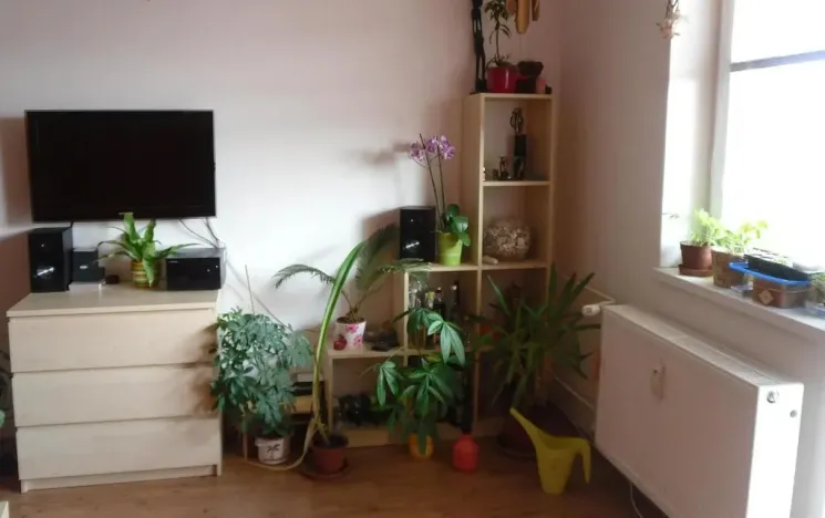 Prodej bytu 1+kk, Brno - Židenice, Pálavské náměstí, 33 m2